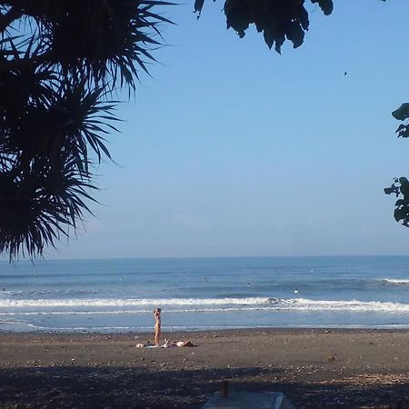 Medewi Good Vibes Stay&Surf Jembrana Exterior foto